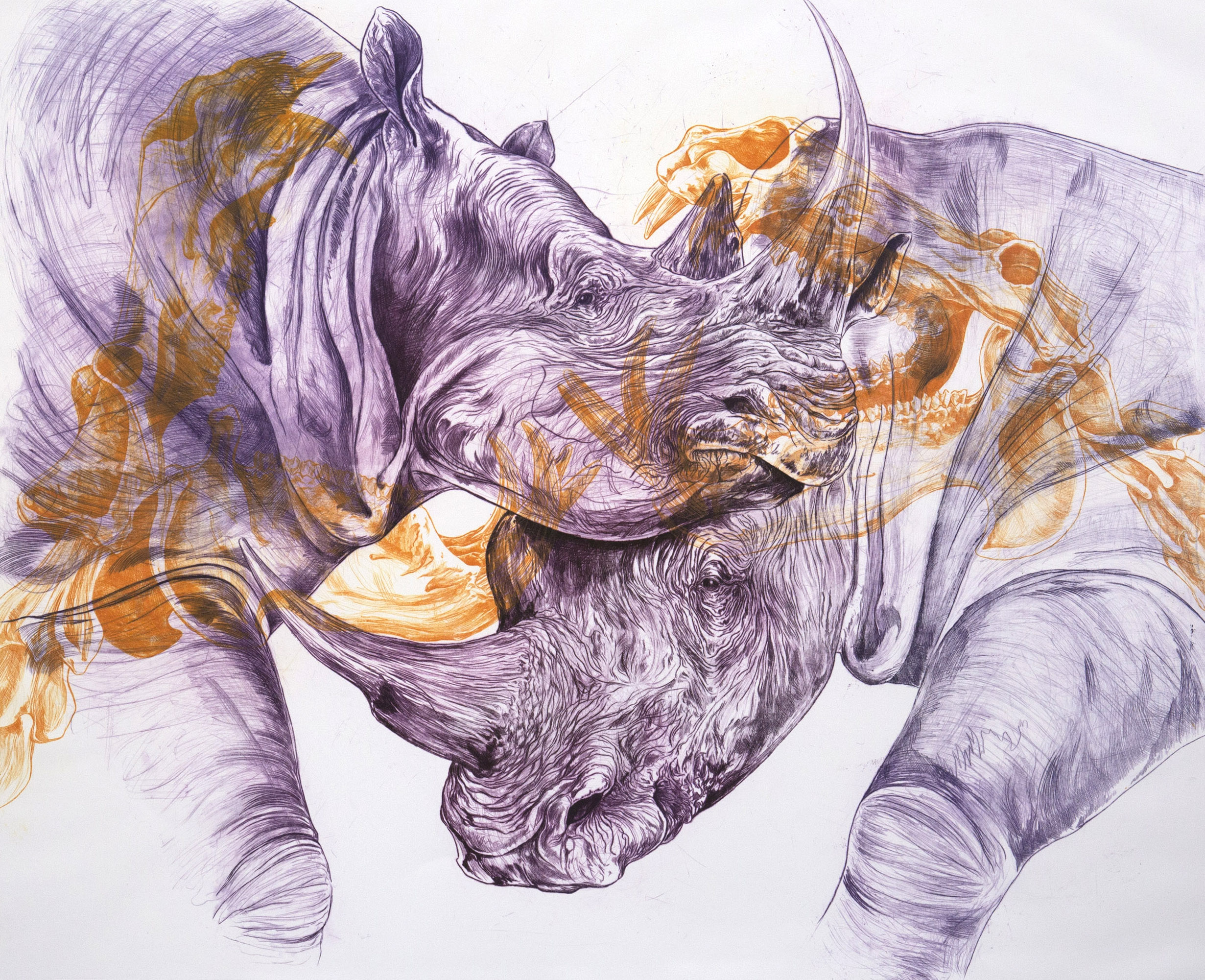 Rhinoceros-violet