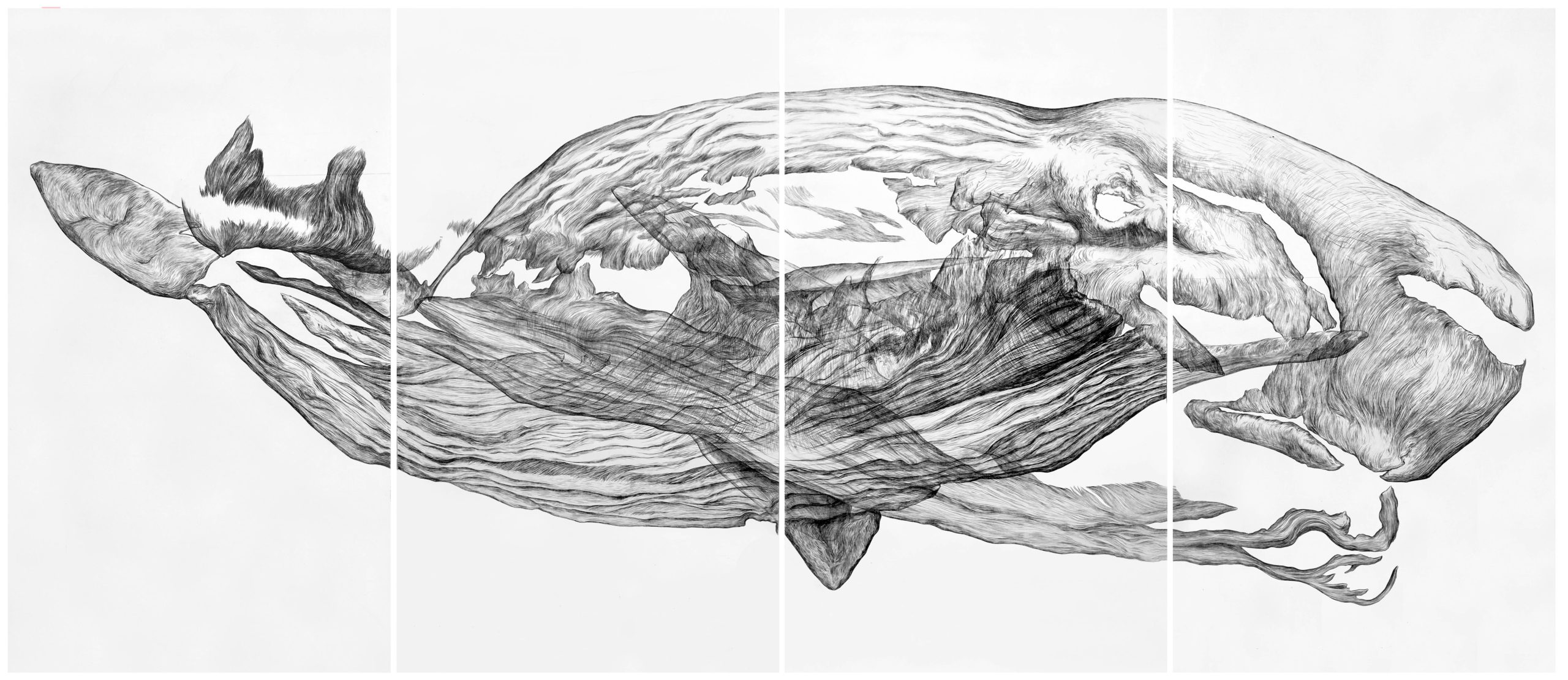 Cetacea-final-retouche copy LR